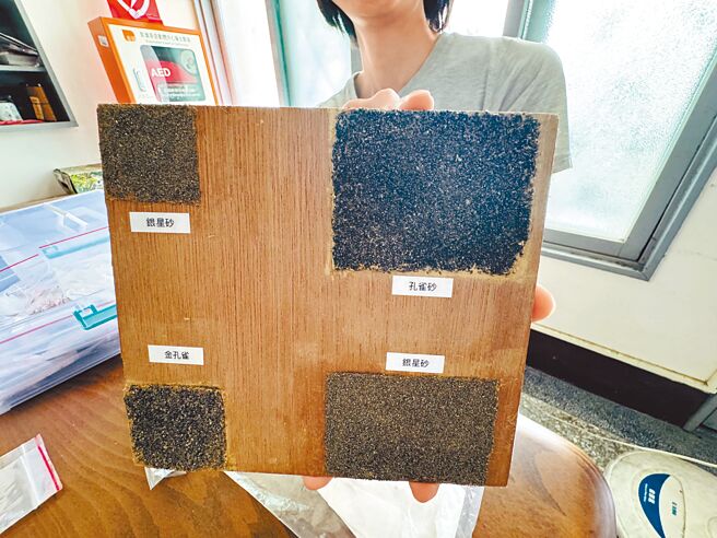 台南文資科研中心歷時1年多考據、實證試驗，重現市面上已經找不到的孔雀砂（右上角），率先全台重現歷史建築的「孔雀壁」，並將於「原日本陸軍台南偕行社」還原復刻。（曹婷婷攝）