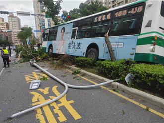 司機酒駕！蘆洲公車衝上分隔島  婦人與運匠雙雙送醫