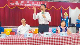 台南 綠委做市長民調 林俊憲首超車陳亭妃
