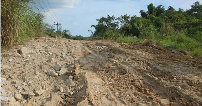 大陸四川的道路一夜變成光禿禿，被一名男子挖去變賣，村民傻眼。（圖／翻攝微博）