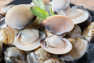 蚵仔文蛤價格恐漲1成 供應短缺中秋烤肉受影響