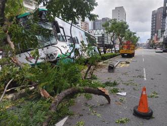 三重客運酒駕撞分隔島！出勤酒測後竟偷喝「阿比」 司機已自請離職