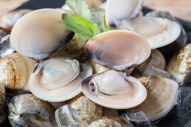 蚵仔文蛤价格恐涨1成，供应短缺中秋烤肉受影响。（示意图，Shutterstock／达志）