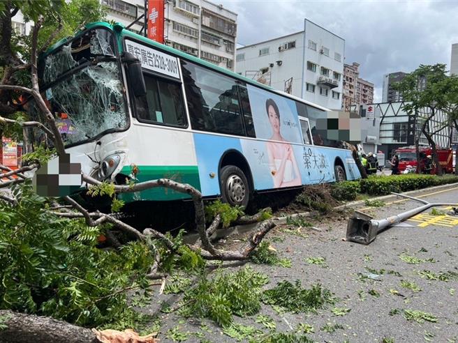 公車撞上集賢路中央分隔島，路樹東倒西歪。（蘆洲警分局提供）