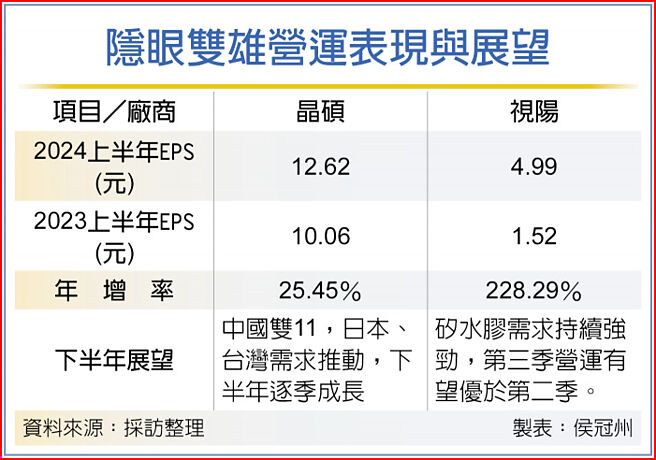 隱眼雙雄營運表現與展望