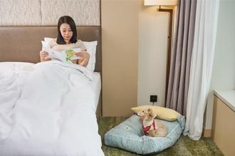 8月國際貓狗月 入住六福萬怡寵物主題房可得千元好禮