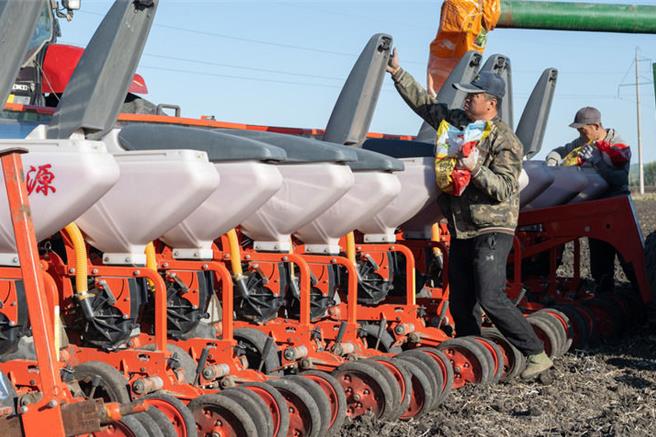 端牢中国饭碗：从北大荒盐碱沼泽地到鱼米大仓。图为农民在黑龙江省集贤县一片耕地里向播种机中添加大豆种子。（新华社）