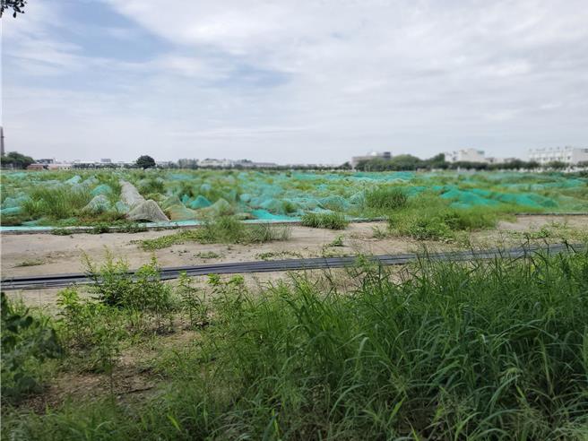 云林农机展场地是欣赏国庆焰火的蛋黄区。（周丽兰摄）