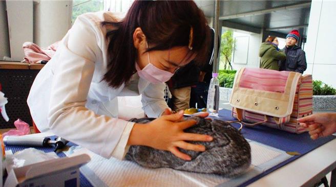 動保處建議由專業人員輔導推行夏季正確飼養知識。（新北市動保處提供）