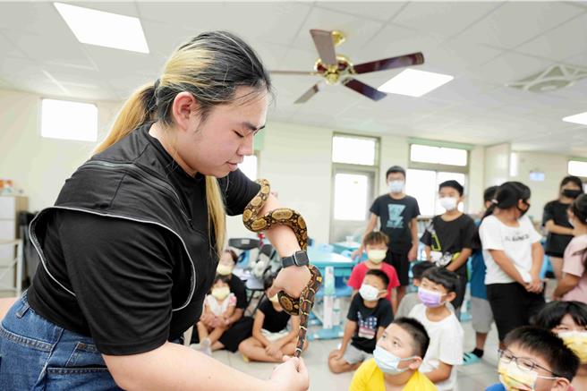 到朴子課輔班擔任「一日講師」的南華大學傳播學系學生林建廷，特地帶來球蟒、蚺蛇、蠍子等爬蟲及節肢動物扮演助教，教室氣氛瞬間沸騰起來。（呂妍庭攝）