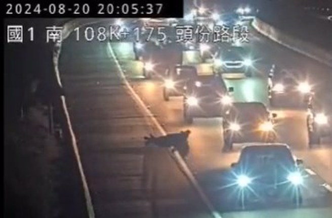 中山高苗栗头份段，晚间8时许，当地一名问题人物，喝醉酒闯入国道躺在车道上，驾驶纷纷闪避。（翻摄国道1968监视器）