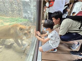 抓住暑假尾巴！ 壽山動物園攜手28旅宿推超值優惠