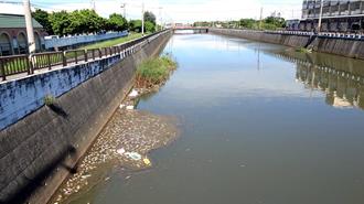 梧棲大排魚屍遍野3天 周邊居民惡臭難耐