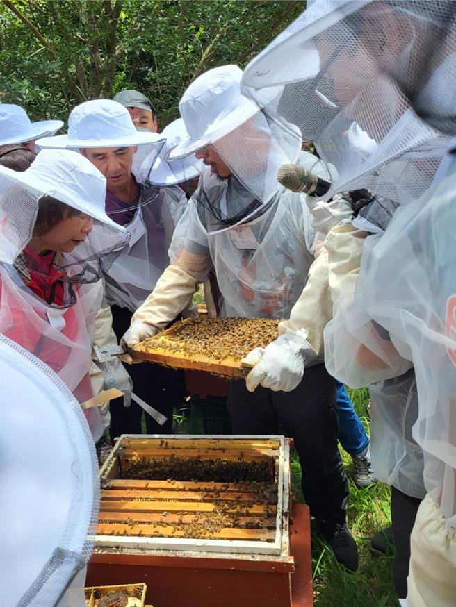 老師講授查蜂要領，指導查蜂時應注意事項。（林業署提供／李京昇台中傳真）