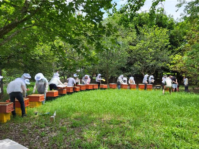 學員於養蜂示範區實係操作林下養蜂作業。（林業署提供／李京昇台中傳真）