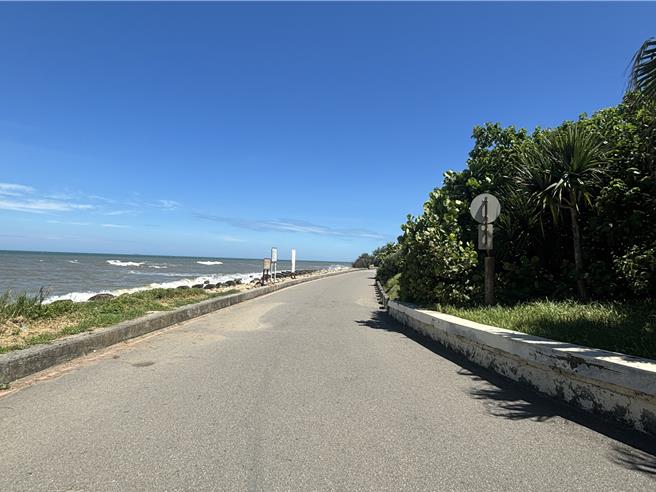 桃園市新屋區綠色隧道沿海段僅有南側入口有設禁止汽機車進入的告示牌，但北側卻無標示，造成在沿海段遊客，經常與汽機車爭道發生事故，地方盼增加假日禁止通行的告示牌及流量管制，減少事故發生。新屋區公所回應，於9月上旬完成增設。（廖姮玥攝）