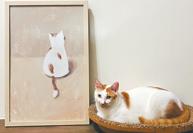 农业部公告明年8月1日起，家猫也要办理宠物登记，若未依规定将开罚最高1.5万元。有饲主担忧家猫纳管后每年要施打狂犬病疫苗，恐有疫苗刺激产生恶性肉瘤甚至死亡，认为中央强制纳管没道理。（吕筱蝉摄）