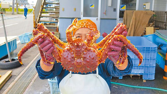 天母SOGO牛渡水產北海道帝王蟹腳900g，原價9000元、特價4800元。（SOGO提供）