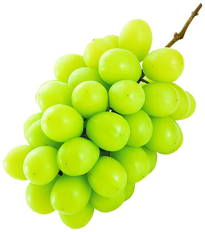 天母SOGO初登場LOPIA日本山梨縣產麝香葡萄，600元起。（SOGO提供）