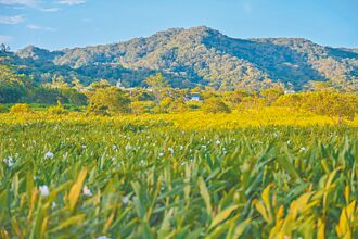 風域半島牡丹遊客中心 8／23啟用