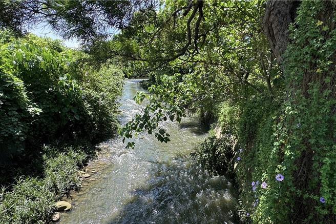 桃园市芦竹区中兴一号桥下的新庄子溪，因河道领空杂草丛生、河道多年未清淤，导致环境脏乱、垃圾闷臭。（钱龙提供）