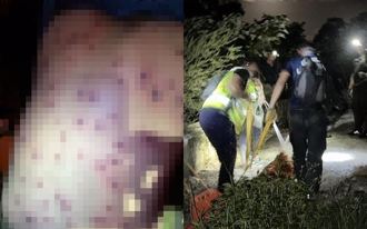 志工團領隊被虎頭蜂螫傷亡 遭質疑「爬黑山」警方這樣說