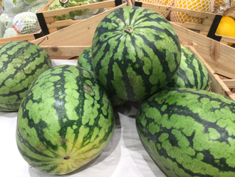 2吨「假西瓜」藏毒闯美墨边境遭逮 网笑：小学生美劳？