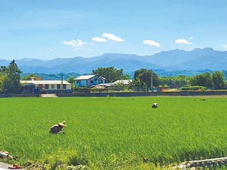 国土画设 云县议会要求修正农一比例