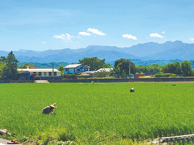 雲林縣在國土計畫法中農地有9萬公頃，將衝擊未來工商業發展的可能性，雲林縣議會組成因應國土計畫法實施之配套措施研究專案小組鞭策縣府善加把關。（周麗蘭攝）