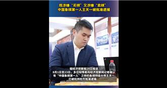 涉嫌買棋、賣棋   「大陸象棋第一人」王天一被批准逮捕