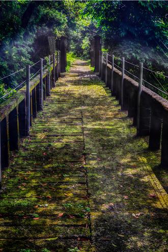 「草山三角埔發電所」古蹟遭設扶手 文化局重罰30萬命復原