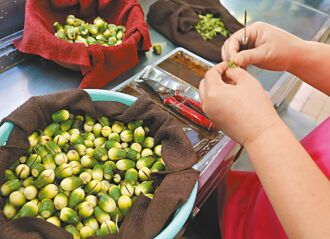 無視監院糾正 檳榔管理20年無作為