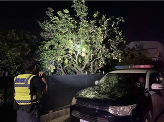 文旦产量少、价格飙涨 麻豆警启动「护柚专案」