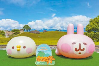 金針花季開跑 花蓮住宿優惠千元