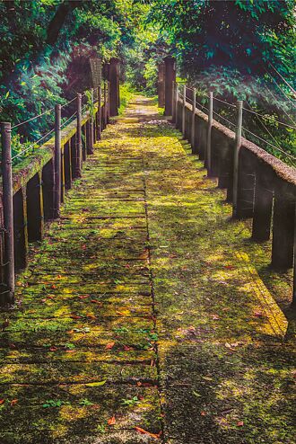 草山三角埔發電所擅設扶手 北市文化局開罰30萬加復原