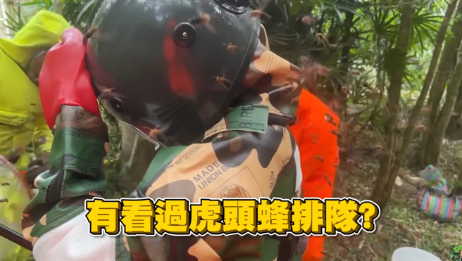 虎头蜂团团包围穿着深色防护衣与头盔的摄影师Sally，对旁边浅色衣的捕蜂达人与吴沁婕却没什么兴趣。(图／昆虫扰西吴沁婕Dee the bugbuff)