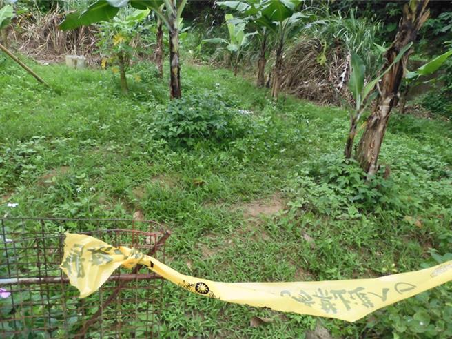 警方于树林军人公墓旁农地发现1具无名尸，透过比对DNA，协助家属找回亲人遗骸。（新北市警察局提供）