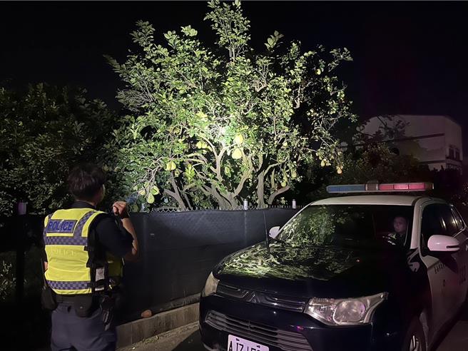 麻豆警分局为避免柚农日以继夜辛苦守护的柚园，遭窃嫌盗窃一空，特别祭出「护柚专案」。（读者提供／张毓翎台南传真）