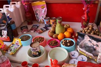 西螺福興宮發送普渡供品 「動物普」毛小孩也受惠