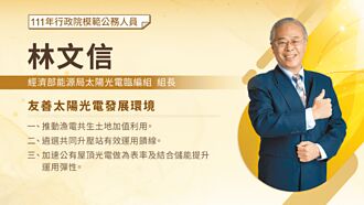 提保命錄音檔 林文信仍審光電