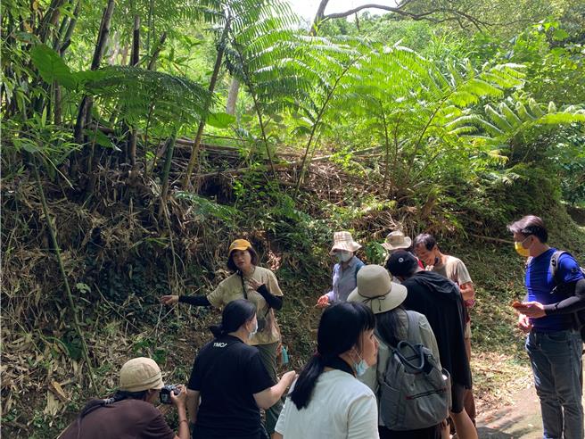 為推廣客家人文歷史，新北客家局攜手新北三鶯社區大學、國立臺北大學海山學研究中心及財團法人樹春文教基金會共同主辦大三鶯走路節「五寮筍鄉山客行」。（新北客家局提供）
