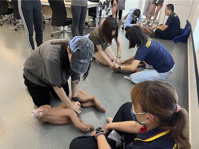 宠物美容师实习宠物CPR心臟按摩急救术。（新北市动保处提供）
