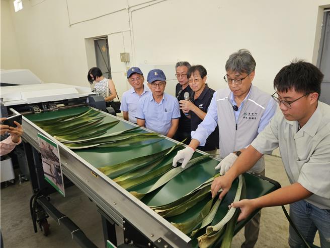 农业部长陈骏季（右二）到九如乡农会参访凤梨叶自动化取纤循环场，动手将凤梨叶摆放到输送带上。（罗琦文摄）