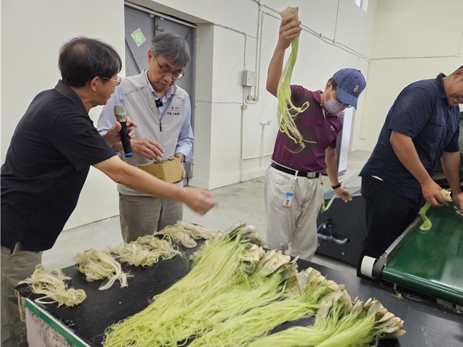 农业部长陈骏季（左二）到九如乡农会参访凤梨叶自动化取纤循环场，凤梨叶片迅速抽取出纤维。（罗琦文摄）