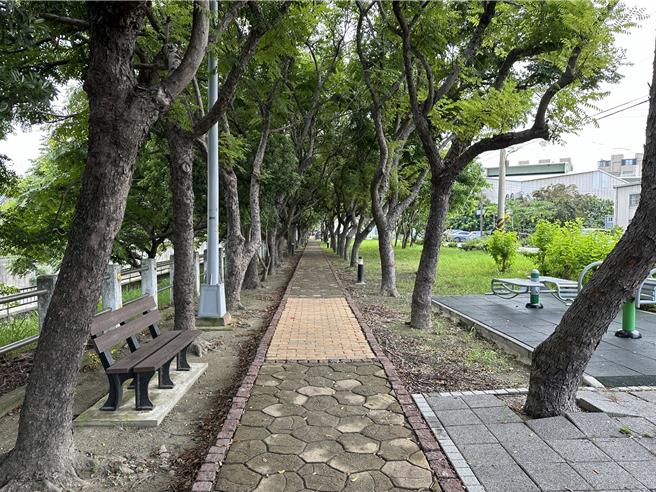 橋江北街將與南街人行步道串聯，美化大排周邊環境，總工程總經費約4823萬元，人行步道串聯預計10月底前完工，改善橋江南街人行環境，預計今年底前發包動工。（立委蔡其昌服務處提供／張妍溱台中傳真）