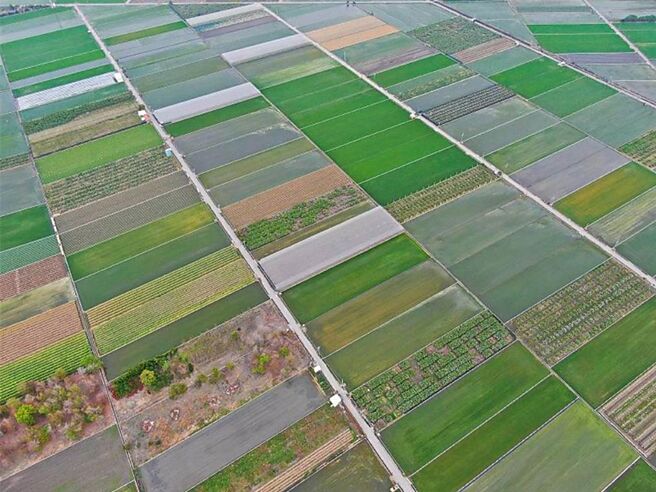 图／本报资料照片