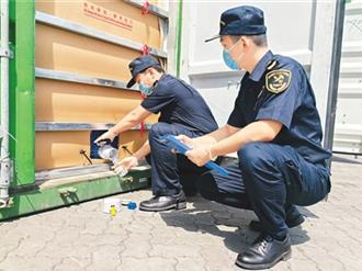 拒絕「洋垃圾」 陸海關出手了