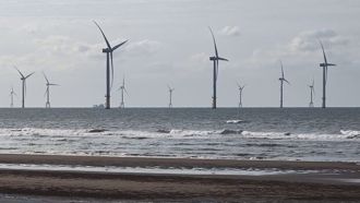 離岸風電影響漁業發展？農業部調查：基樁有聚魚效果