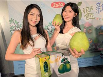 八里文旦柚产量占新北7成  9／7展售会推双倍券