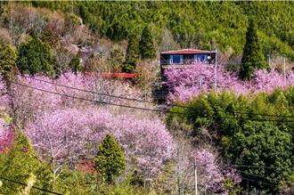 國土計畫法明年上路 原民區2戶以下另訂規則保障權益